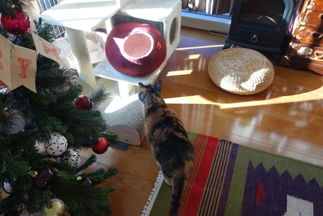 f:id:hiraryo0201:20171224114935j:plain f:id:hiraryo0201:20171224114935j:plain