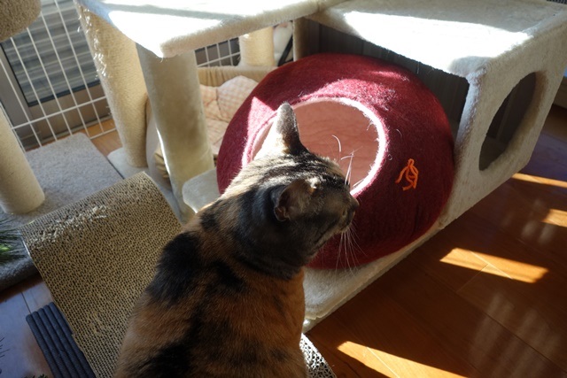 f:id:hiraryo0201:20171224114953j:plain f:id:hiraryo0201:20171224114953j:plain