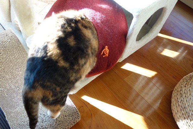 f:id:hiraryo0201:20171224115008j:plain f:id:hiraryo0201:20171224115008j:plain