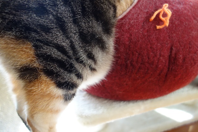 f:id:hiraryo0201:20171224115015j:plain f:id:hiraryo0201:20171224115015j:plain