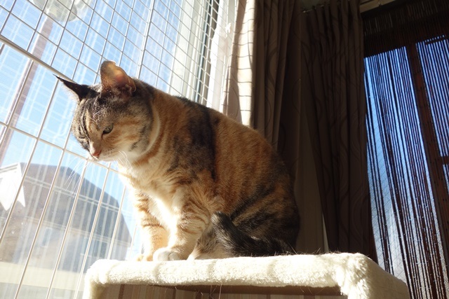 f:id:hiraryo0201:20171224115031j:plain f:id:hiraryo0201:20171224115031j:plain