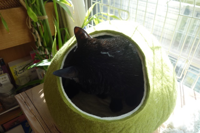 f:id:hiraryo0201:20171224115143j:plain f:id:hiraryo0201:20171224115143j:plain