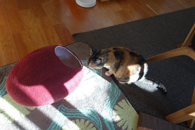 f:id:hiraryo0201:20171224115219j:plain f:id:hiraryo0201:20171224115219j:plain