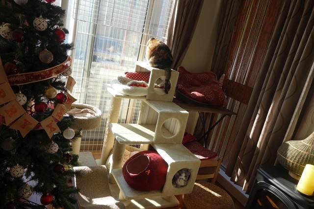 f:id:hiraryo0201:20171224115235j:plain f:id:hiraryo0201:20171224115235j:plain