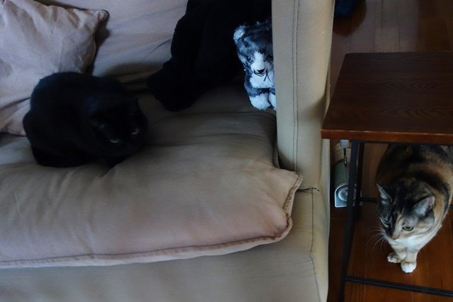 f:id:hiraryo0201:20171224133130j:plain f:id:hiraryo0201:20171224133130j:plain