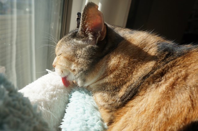 f:id:hiraryo0201:20171224134924j:plain f:id:hiraryo0201:20171224134924j:plain