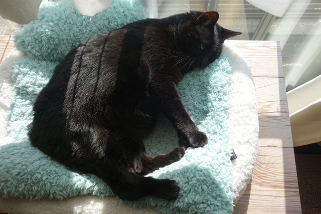 f:id:hiraryo0201:20171224135758j:plain