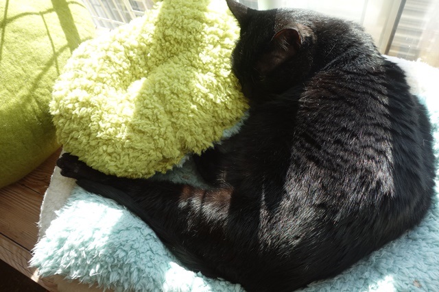 f:id:hiraryo0201:20171224135827j:plain