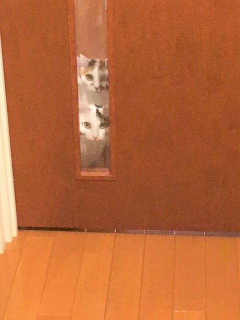 f:id:hiraryo0201:20171227074623j:image f:id:hiraryo0201:20171227074623j:image