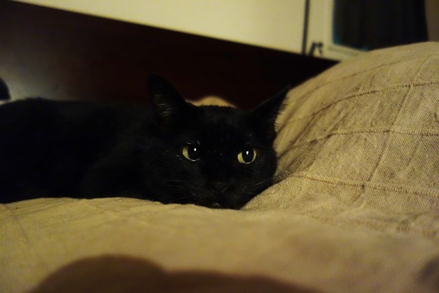 f:id:hiraryo0201:20171229122054j:plain f:id:hiraryo0201:20171229122054j:plain