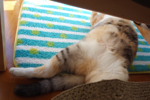 f:id:hiraryo0201:20171229122611j:plain f:id:hiraryo0201:20171229122611j:plain