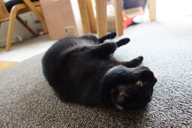 f:id:hiraryo0201:20171229124159j:plain f:id:hiraryo0201:20171229124159j:plain