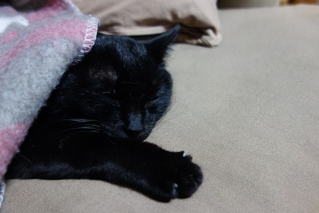 f:id:hiraryo0201:20171229125200j:plain f:id:hiraryo0201:20171229125200j:plain