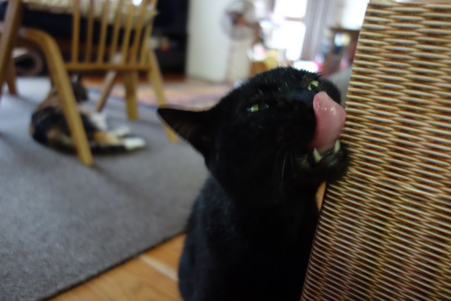 f:id:hiraryo0201:20171229125740j:plain f:id:hiraryo0201:20171229125740j:plain