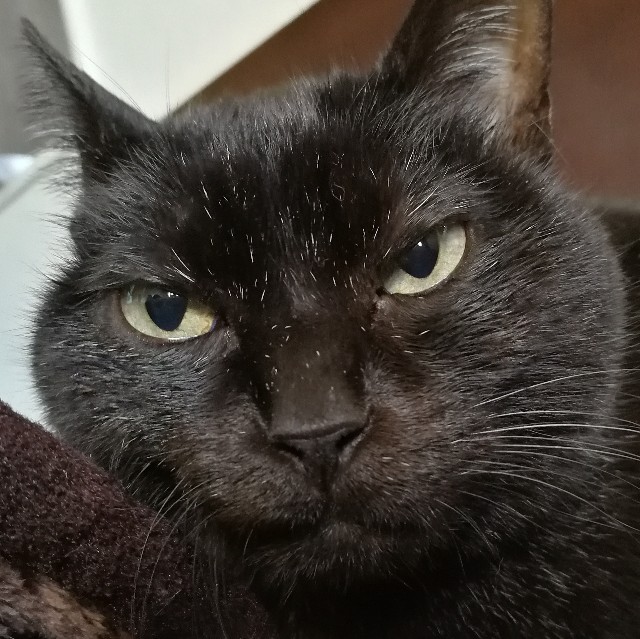 f:id:hiraryo0201:20171229130809j:image f:id:hiraryo0201:20171229130809j:image