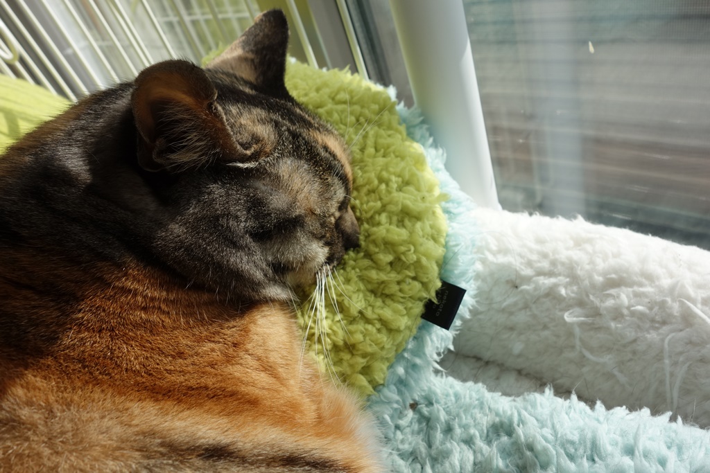 f:id:hiraryo0201:20180103084556j:plain f:id:hiraryo0201:20180103084556j:plain