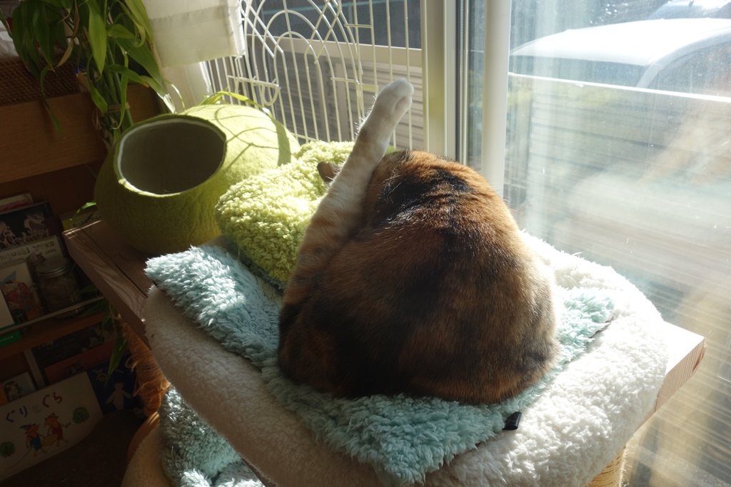 f:id:hiraryo0201:20180103084629j:plain f:id:hiraryo0201:20180103084629j:plain