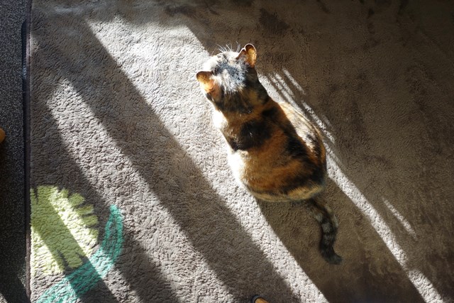 f:id:hiraryo0201:20180106092212j:plain