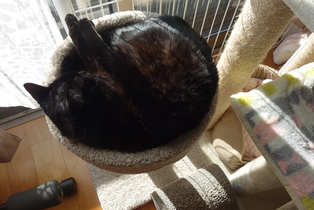 f:id:hiraryo0201:20180106093954j:plain