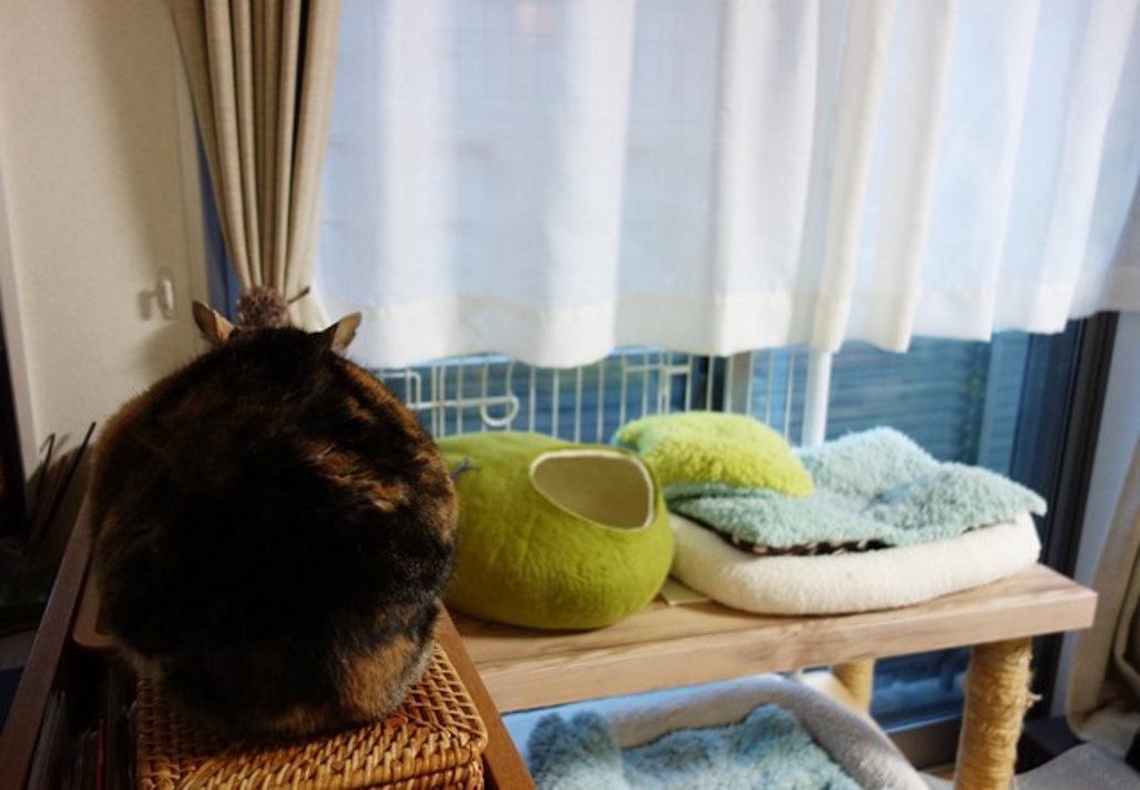 f:id:hiraryo0201:20180108093331j:plain f:id:hiraryo0201:20180108093331j:plain