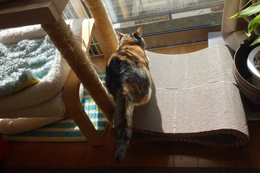 f:id:hiraryo0201:20180108094358j:plain f:id:hiraryo0201:20180108094358j:plain