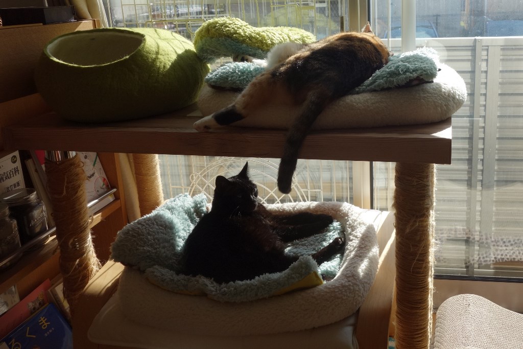 f:id:hiraryo0201:20180108094621j:plain f:id:hiraryo0201:20180108094621j:plain