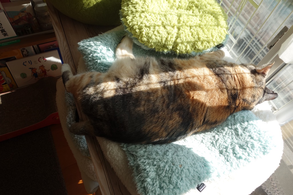 f:id:hiraryo0201:20180108094647j:plain f:id:hiraryo0201:20180108094647j:plain