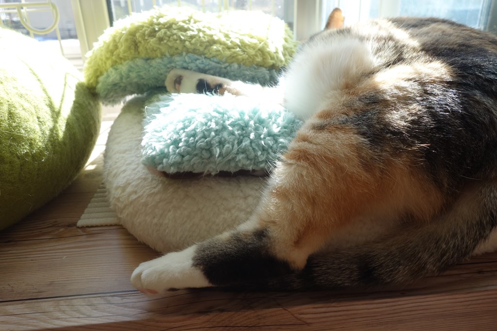 f:id:hiraryo0201:20180108094705j:plain f:id:hiraryo0201:20180108094705j:plain