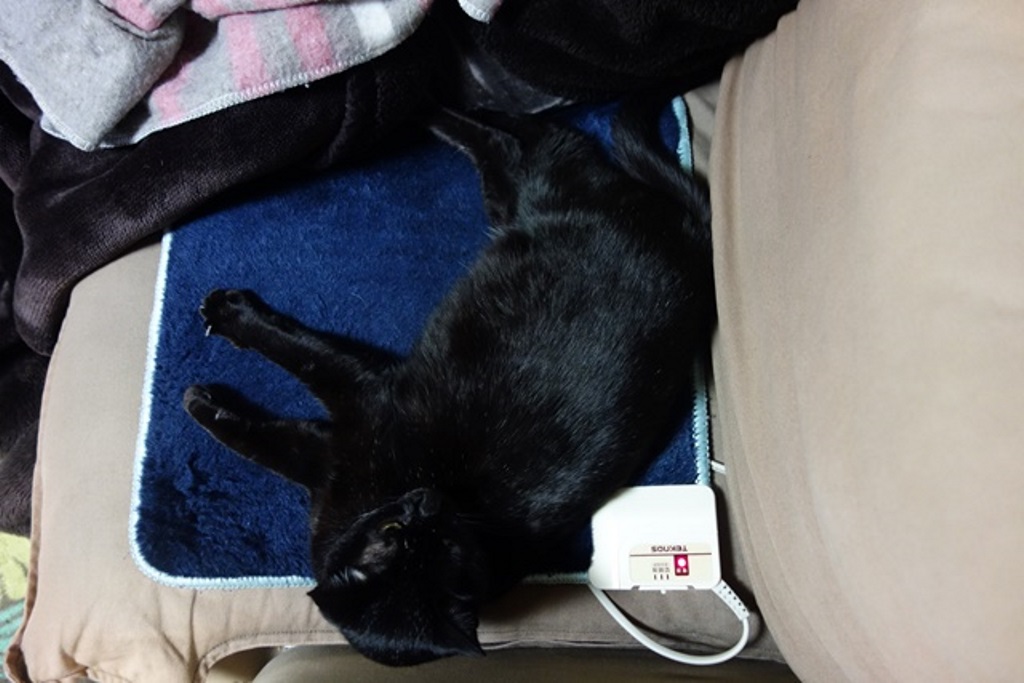 f:id:hiraryo0201:20180108102410j:plain