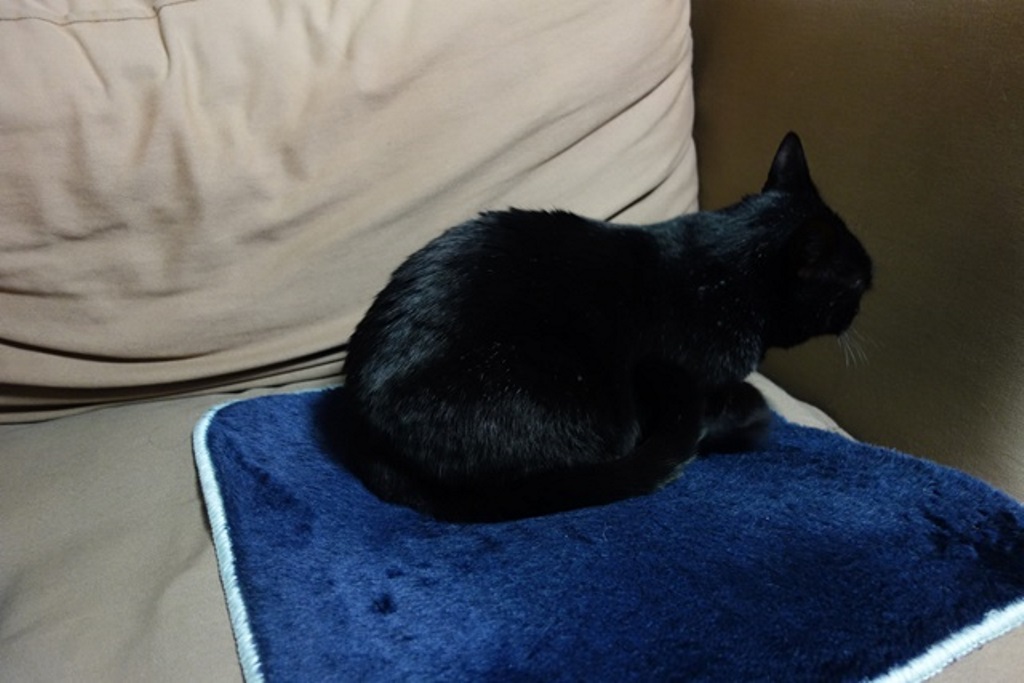 f:id:hiraryo0201:20180108102705j:plain