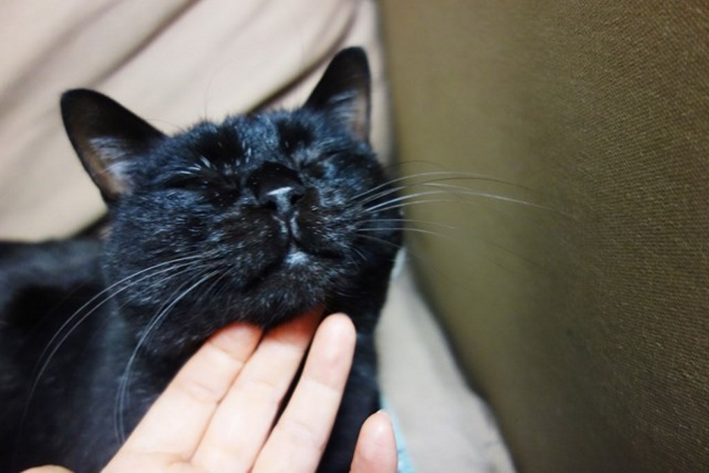 f:id:hiraryo0201:20180108103742j:plain