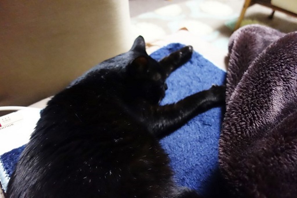 f:id:hiraryo0201:20180108104351j:plain