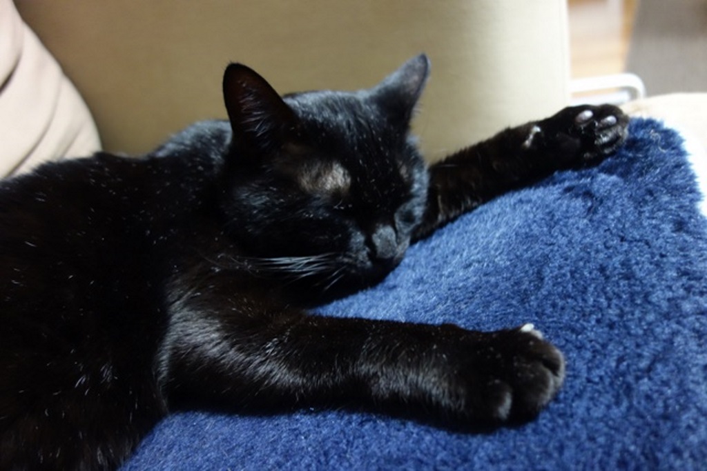 f:id:hiraryo0201:20180108104939j:plain