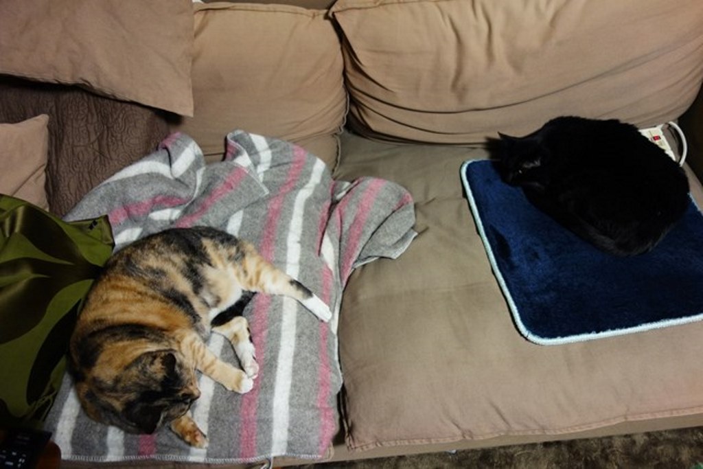 f:id:hiraryo0201:20180108105133j:plain