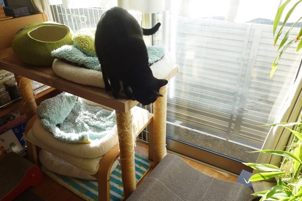 f:id:hiraryo0201:20180108110329j:plain