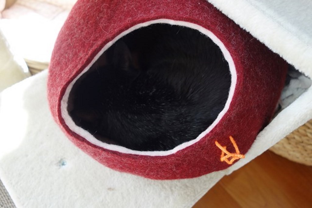 f:id:hiraryo0201:20180108111452j:plain f:id:hiraryo0201:20180108111452j:plain