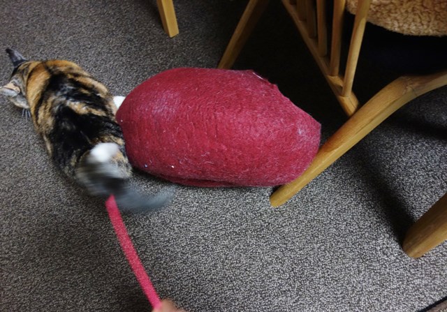 f:id:hiraryo0201:20180114160049j:plain f:id:hiraryo0201:20180114160049j:plain