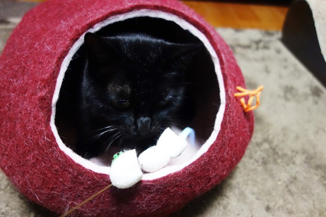 f:id:hiraryo0201:20180114160328j:plain f:id:hiraryo0201:20180114160328j:plain