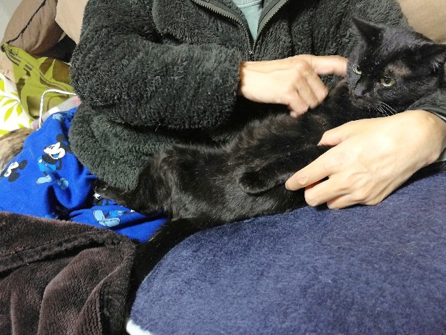 f:id:hiraryo0201:20180116122141j:image f:id:hiraryo0201:20180116122141j:image