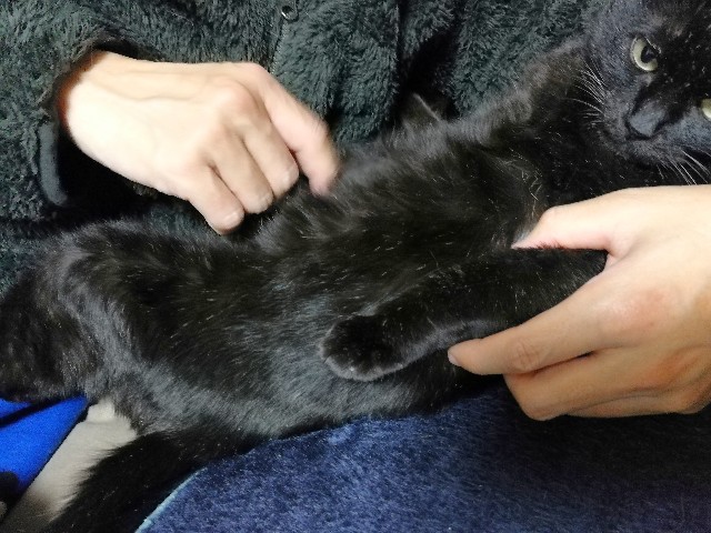 f:id:hiraryo0201:20180116122159j:image f:id:hiraryo0201:20180116122159j:image