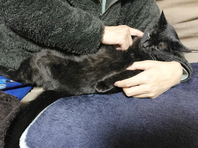 f:id:hiraryo0201:20180116122222j:image f:id:hiraryo0201:20180116122222j:image