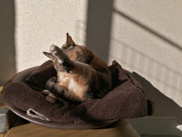 f:id:hiraryo0201:20180116183802j:image f:id:hiraryo0201:20180116183802j:image