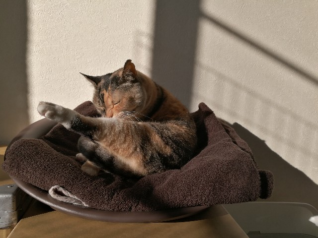 f:id:hiraryo0201:20180116183817j:image f:id:hiraryo0201:20180116183817j:image