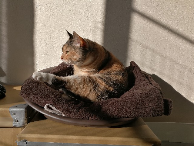 f:id:hiraryo0201:20180116183833j:image f:id:hiraryo0201:20180116183833j:image