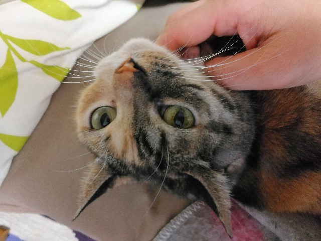 f:id:hiraryo0201:20180121094713j:image f:id:hiraryo0201:20180121094713j:image