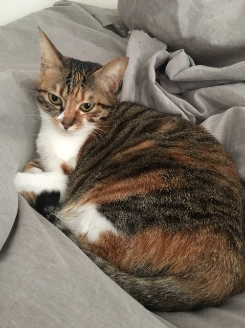 f:id:hiraryo0201:20180121094802j:image f:id:hiraryo0201:20180121094802j:image