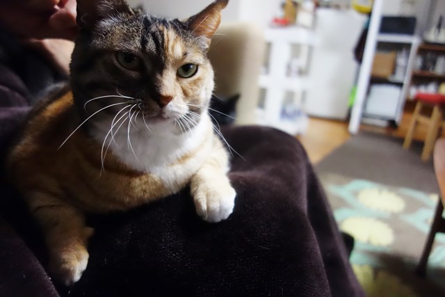 f:id:hiraryo0201:20180121212341j:plain f:id:hiraryo0201:20180121212341j:plain