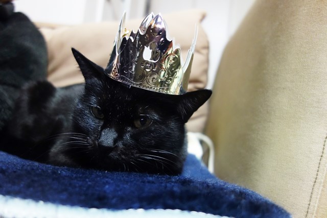 f:id:hiraryo0201:20180121212348j:plain f:id:hiraryo0201:20180121212348j:plain