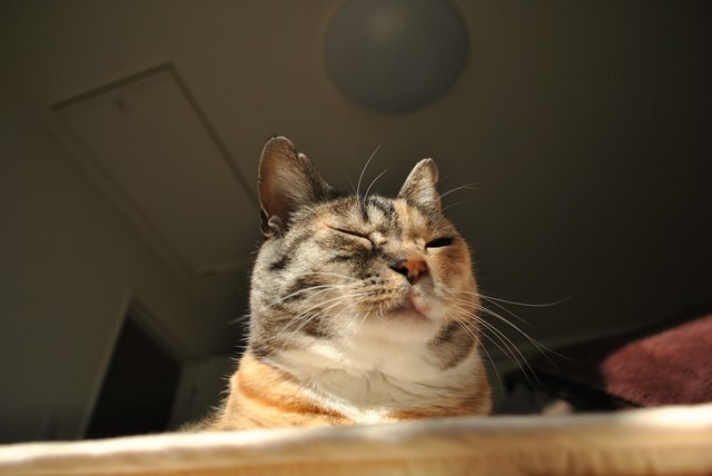 f:id:hiraryo0201:20180121214021j:plain f:id:hiraryo0201:20180121214021j:plain