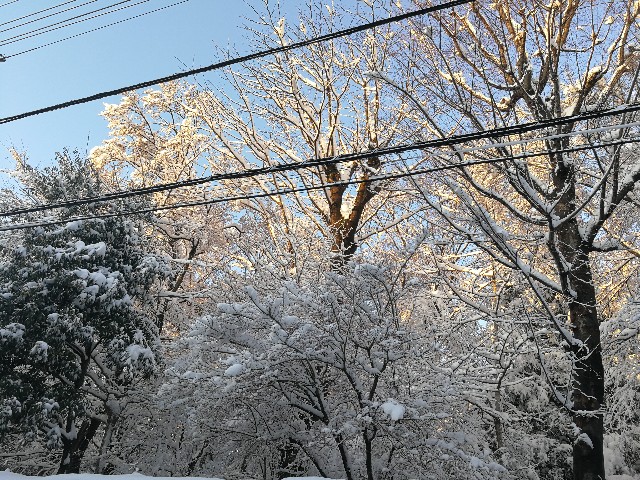 f:id:hiraryo0201:20180123074715j:image f:id:hiraryo0201:20180123074715j:image